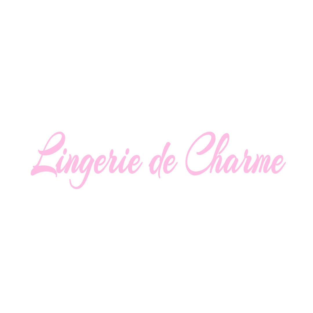 LINGERIE DE CHARME LA-CHAPELLE-MONTMOREAU